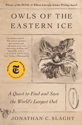 bokomslag Owls of the Eastern Ice