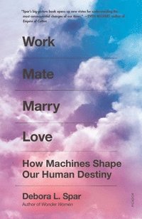 bokomslag Work Mate Marry Love: How Machines Shape Our Human Destiny