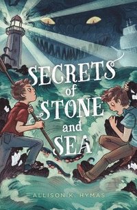 bokomslag Secrets of Stone and Sea