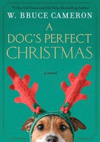 bokomslag Dog's Perfect Christmas