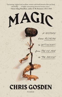 bokomslag Magic: A History