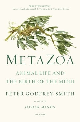 bokomslag Metazoa