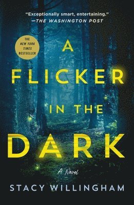 Stacy Willingham - A Flicker in the Dark, Häftad