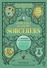 bokomslag Apprentice Academy: Sorcerers