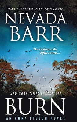 Burn: An Anna Pigeon Novel 1