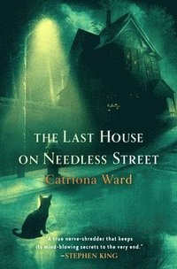 bokomslag The Last House on Needless Street