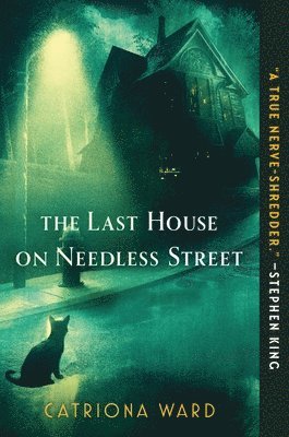 Last House On Needless Street 1