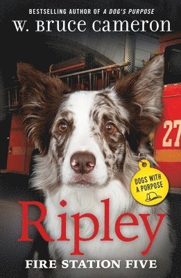 bokomslag Ripley: Fire Station Five: Dogs with a Purpose