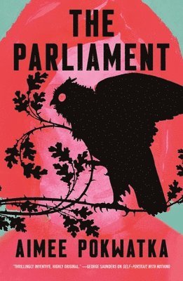 Aimee Pokwatka - Parliament, Häftad