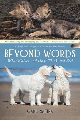 Carl Safina - Beyond Words: What Wolves and Dogs Think and Feel (a Young Reader's Adaptation), Häftad