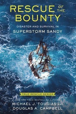 bokomslag Rescue Of The Bounty (Young Readers Edition)