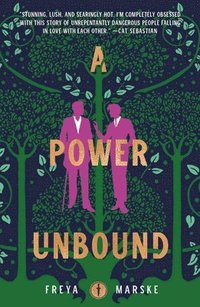 bokomslag A Power Unbound