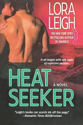 bokomslag Heat Seeker