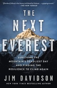 bokomslag The Next Everest