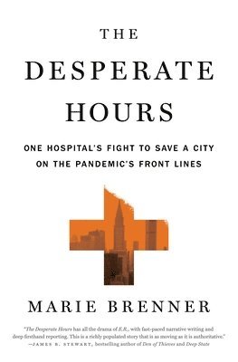 bokomslag Desperate Hours