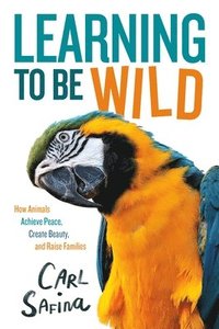 bokomslag Learning to Be Wild (A Young Reader's Adaptation)