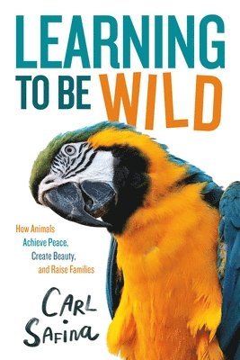 bokomslag Learning to Be Wild (A Young Reader's Adaptation)