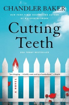 Chandler Baker - Cutting Teeth, Häftad