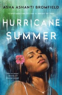 bokomslag Hurricane Summer