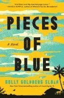 bokomslag Pieces of Blue