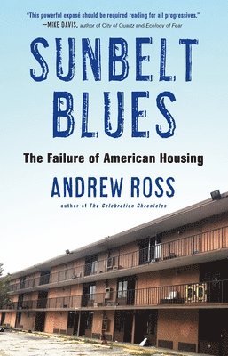 bokomslag Sunbelt Blues