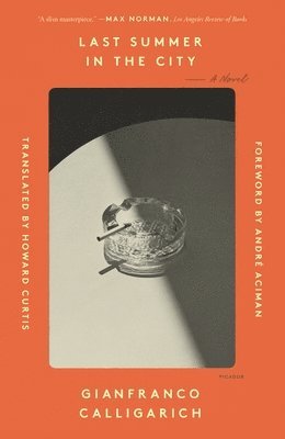 Gianfranco Calligarich - Last Summer in the City, Häftad