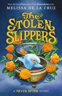 bokomslag The Stolen Slippers