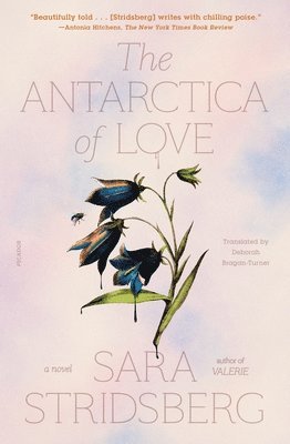 The Antarctica of Love 1