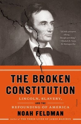bokomslag Broken Constitution