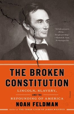 bokomslag The Broken Constitution