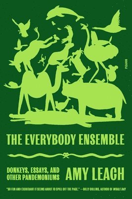 bokomslag The Everybody Ensemble