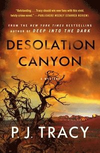 bokomslag Desolation Canyon: A Mystery