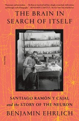 The Brain in Search of Itself 1