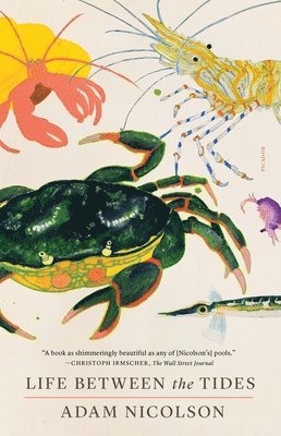 Adam Nicolson - Life Between the Tides, Häftad