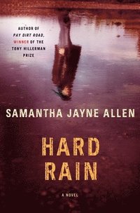 bokomslag Hard Rain