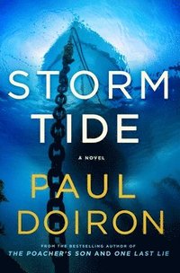 bokomslag Storm Tide