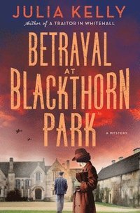 bokomslag Betrayal at Blackthorn Park: A Mystery