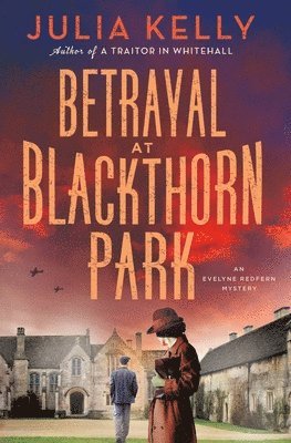 bokomslag Betrayal at Blackthorn Park: A Mystery