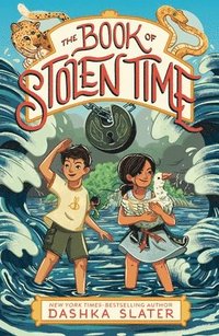 bokomslag The Book of Stolen Time