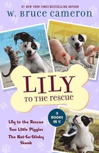 bokomslag Lily to the Rescue Bind-Up Books 1-3