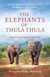 bokomslag The Elephants of Thula Thula