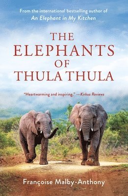 bokomslag The Elephants of Thula Thula