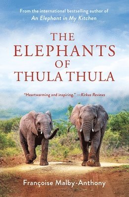 Elephants Of Thula Thula 1