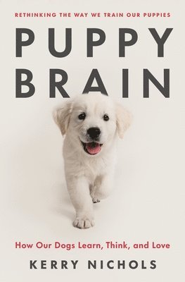 bokomslag Puppy Brain: How Our Dogs Learn, Think, and Love