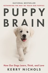 bokomslag Puppy Brain: How Our Dogs Learn, Think, and Love