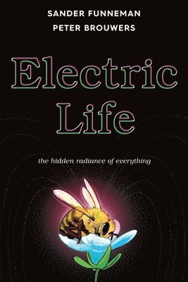 Sander Funneman - Electric Life, Inbunden