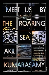 bokomslag Meet Us by the Roaring Sea