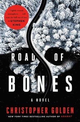 bokomslag Road Of Bones