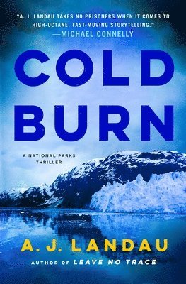 A. J. Landau - Cold Burn, Inbunden