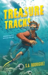 bokomslag Treasure Tracks